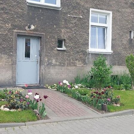 Apartament W Centrum Nysa Bagian luar foto