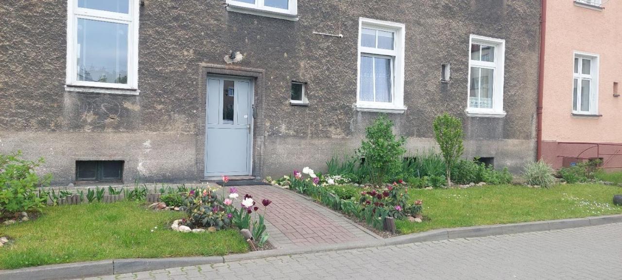 Apartament W Centrum Nysa Bagian luar foto